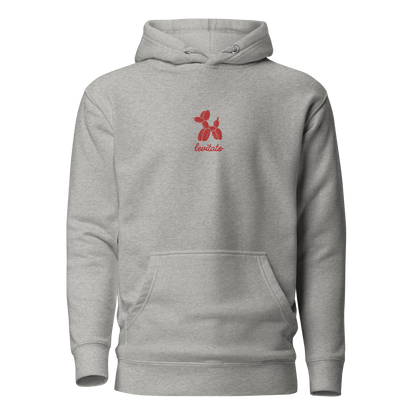 levitate hoodie (embroidered)